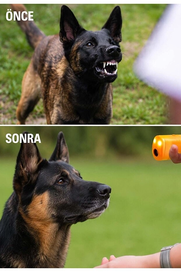 Toptan%20Ultrasonik%20Köpek%20Kovucu%20|%20El%20Tipi%20Köpek%20Eğitim%20Cihazı